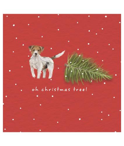 Oh Christmas Tree Christmas Cards - Pack of 10
