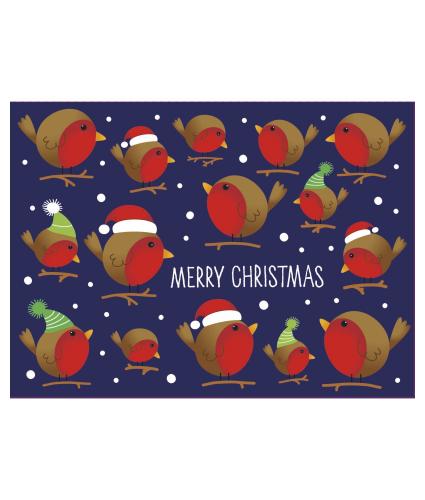 Bright Robin Duo Christmas Cards - design 1