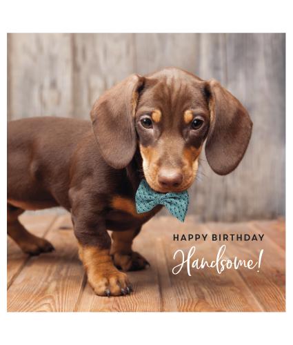 Handsome Harvey Birthday Card