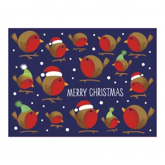 Bright Robin Duo Christmas Cards - Pack of 16 cards in 2 designs